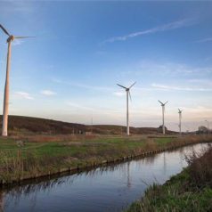 Windmolens Schoteroog